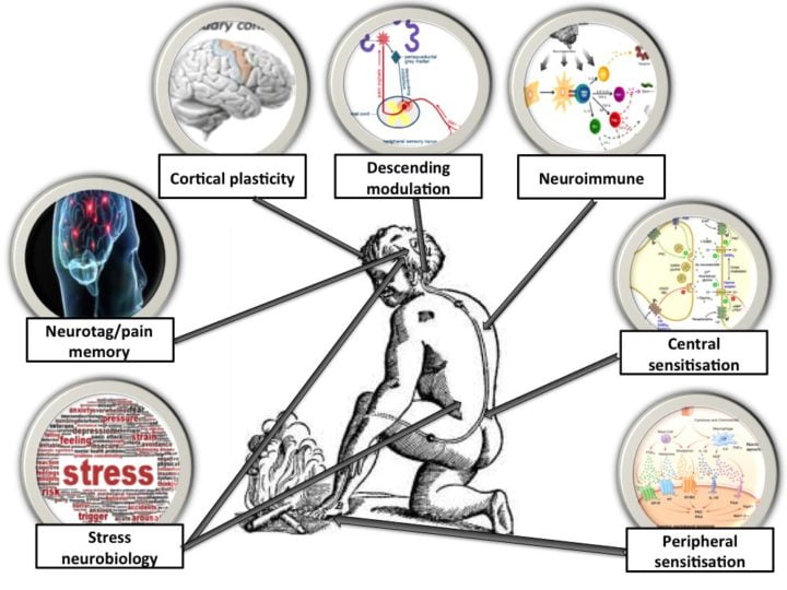 Modelo Biopsicossocial - Controle Sua Dor